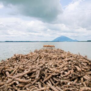 Tinh bột khoai mì cao cấp – Dùng cho thực phẩm & công nghiệp nhẹ